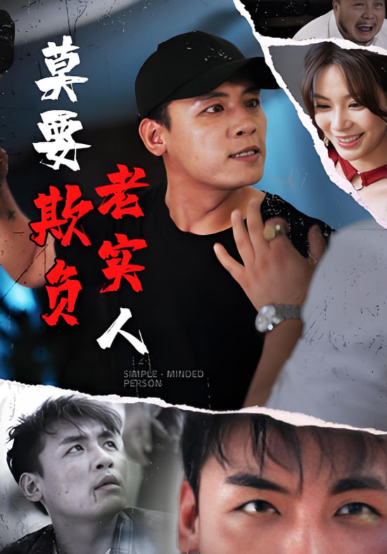 莫要欺负老实人(全集)