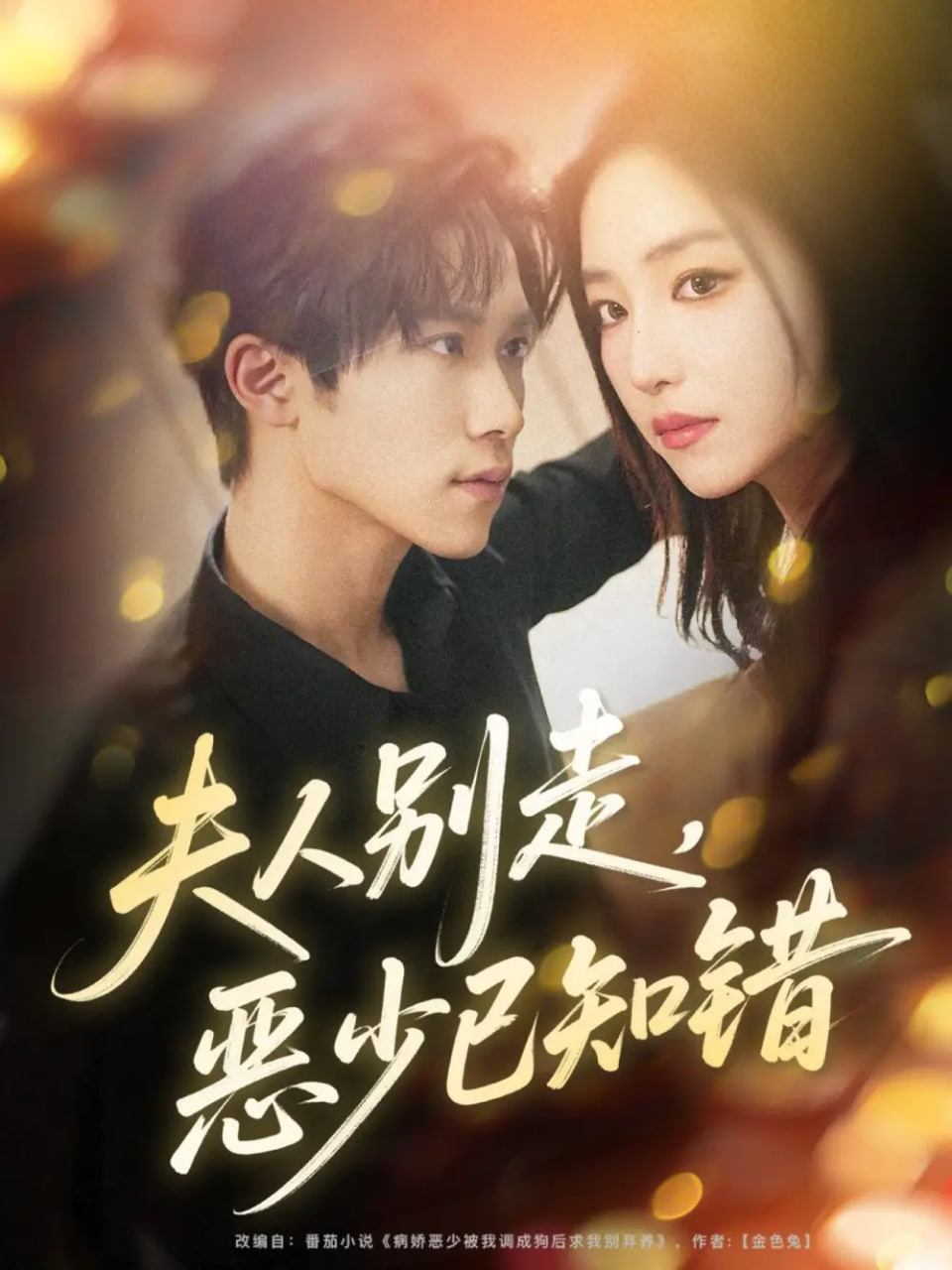 夫人别走恶少已知错(全集)