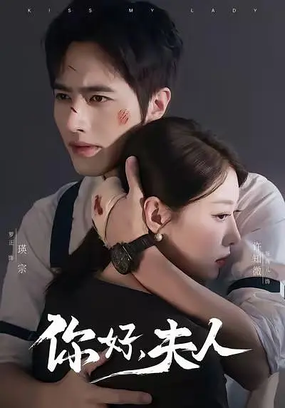 你好夫人(全集)