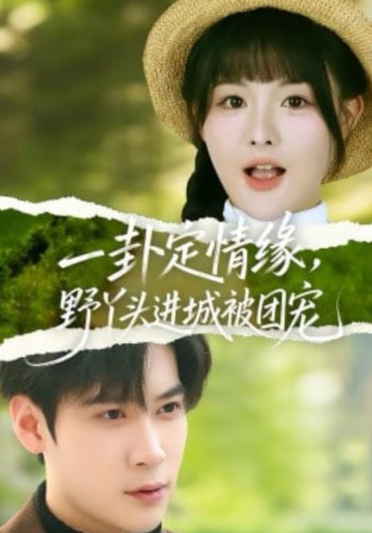一卦定情缘，野丫头进城被团宠(全集)