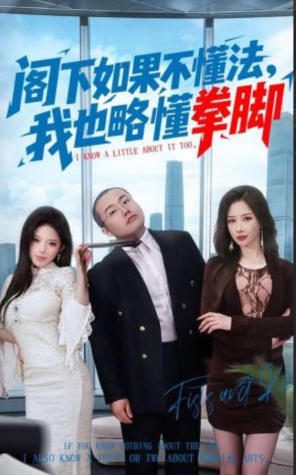 阁下如果不懂法，我也略懂拳脚(全集)