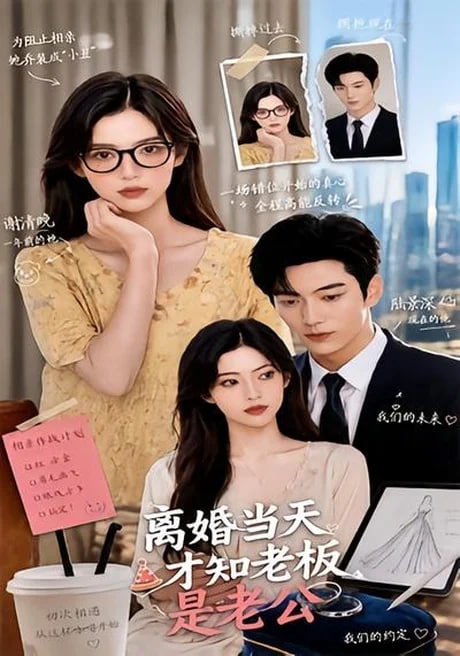 离婚当天才知老板是老公(全集)